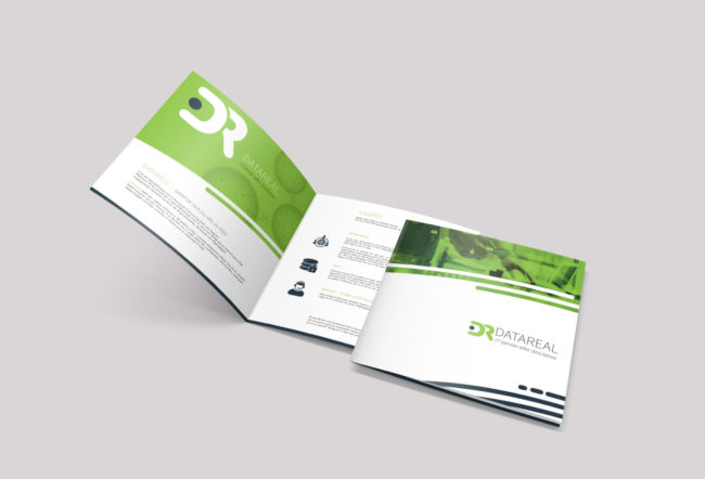 Informationsfolder om Datareal och deras tjänster
