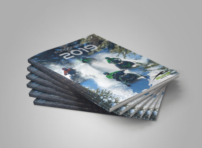 Bild på fordonsbok Arctic Cat Snöskoter