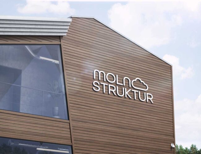 Logotyp till företaget Molnstruktur gjord av designbyrån Wahlbergs Grafiska